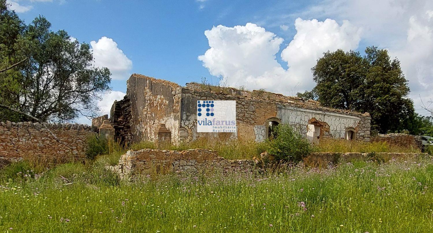 Land with 5,880m2 and ruins near Santa Barbara de Nexe.