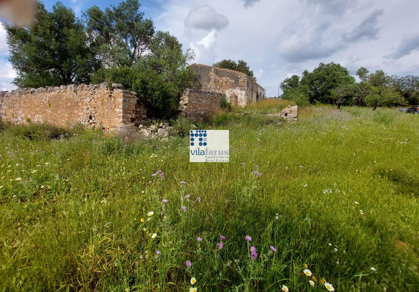 Land with 5,880m2 and ruins near Santa Barbara de Nexe.