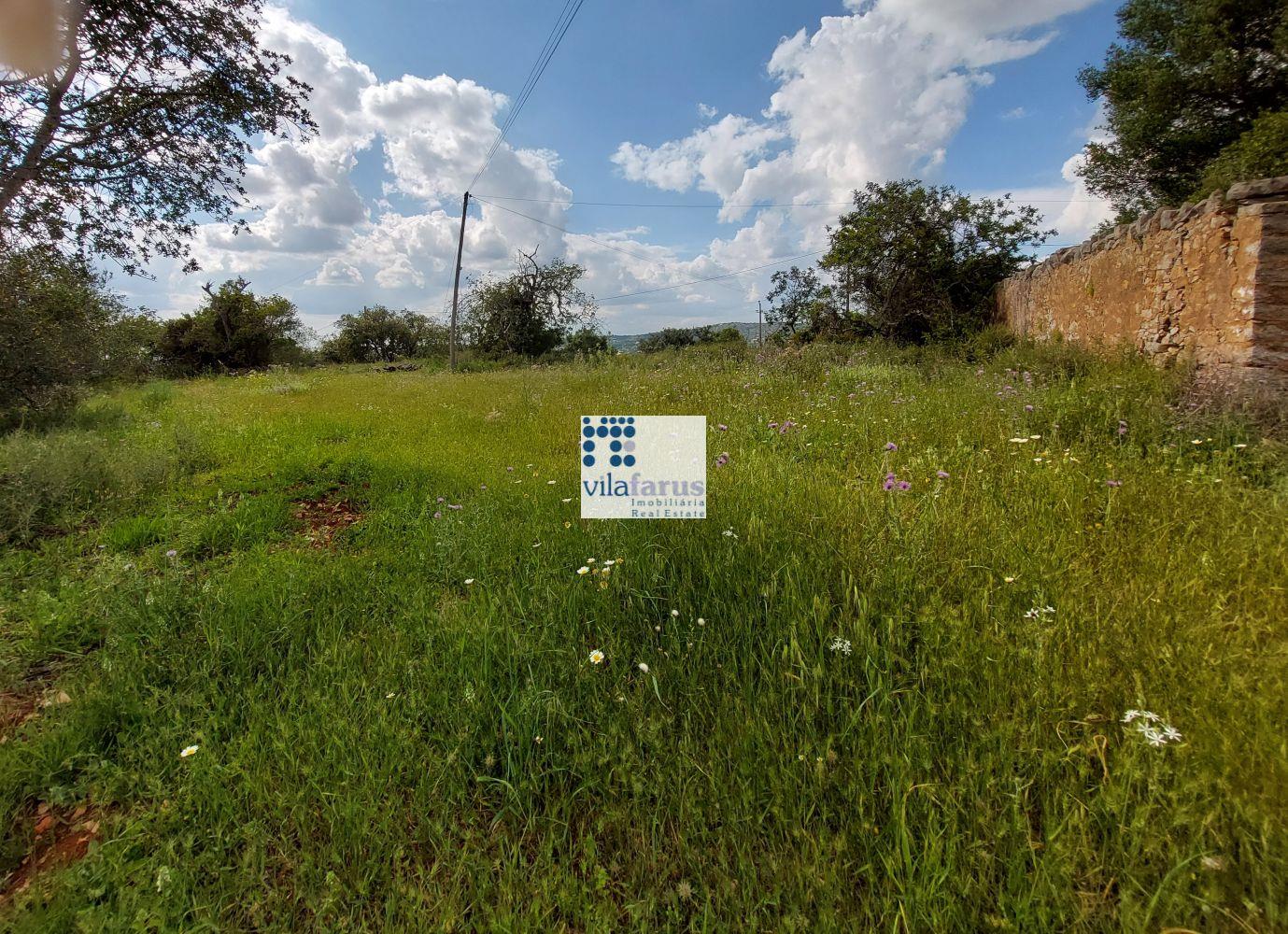 Land with 5,880m2 and ruins near Santa Barbara de Nexe.