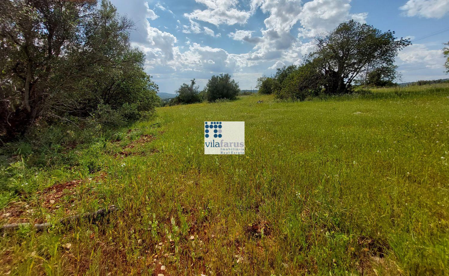 Land with 5,880m2 and ruins near Santa Barbara de Nexe.