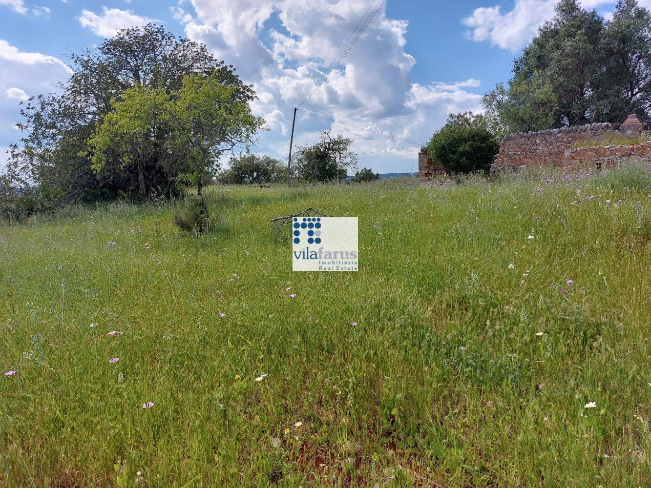 Land with 5,880m2 and ruins near Santa Barbara de Nexe.