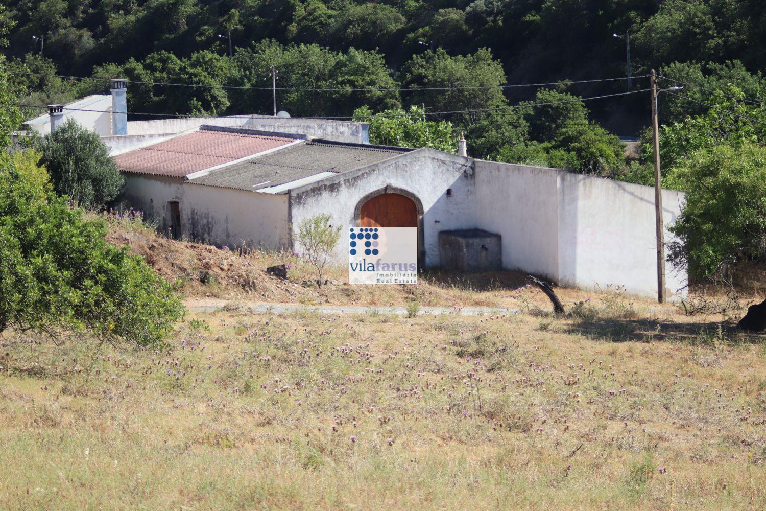 Farm with 5 hectares, consisting of 6 articles (2 urban and 4 rustic).