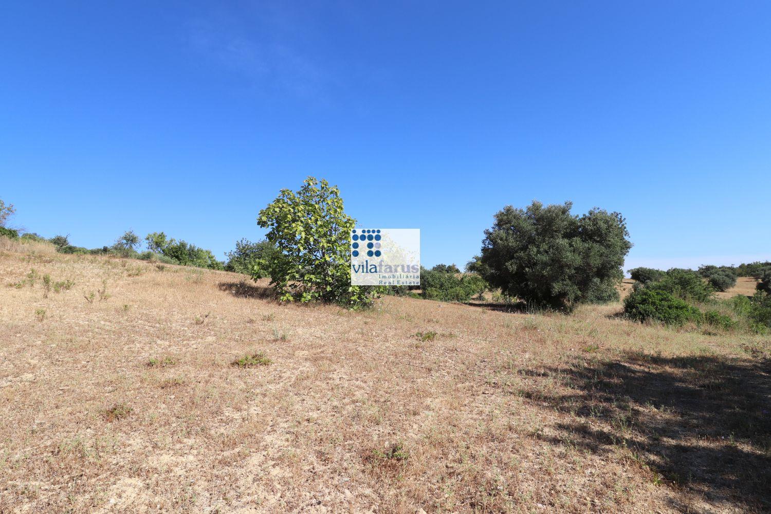 Farm with 5 hectares, consisting of 6 articles (2 urban and 4 rustic).