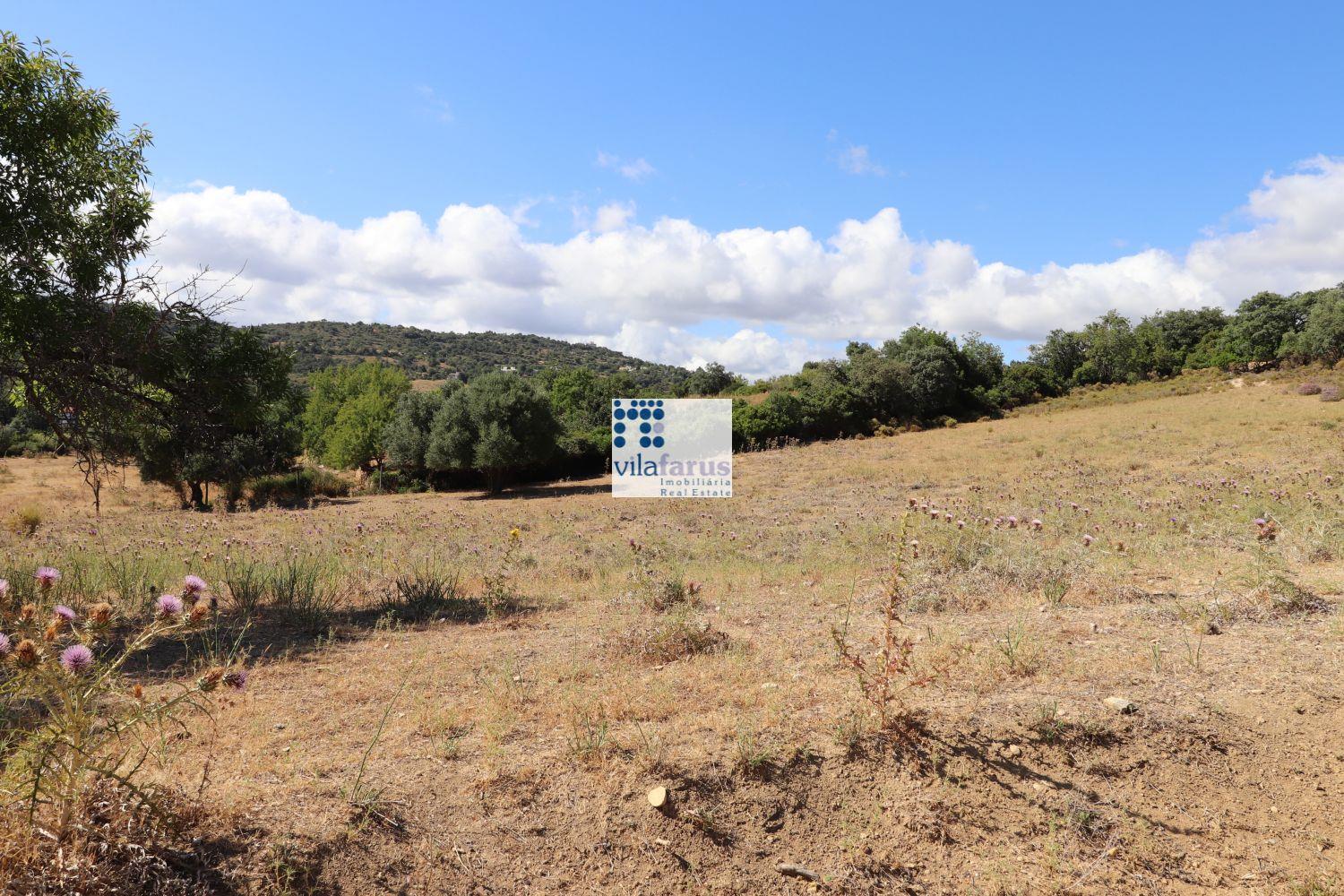 Farm with 5 hectares, consisting of 6 articles (2 urban and 4 rustic).