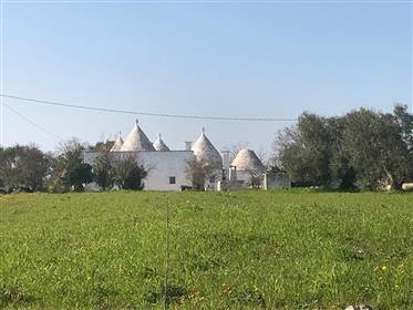 For sale beautiful complex of trulli and lamie in their original state