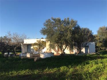 Trulli by Andrea