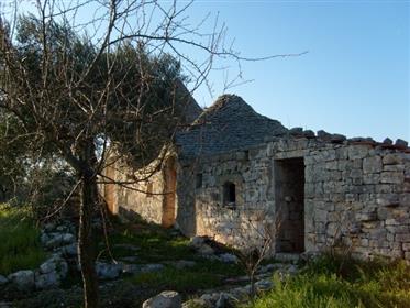 Group of Trulli