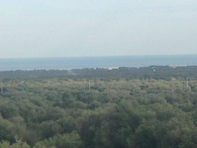 Prestigiosa ed imponente masseria con torre