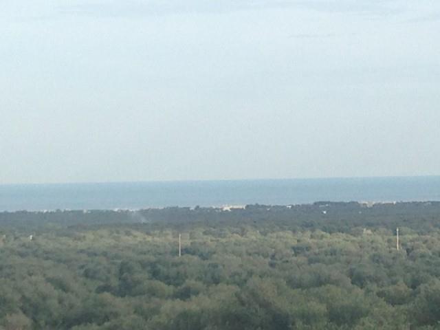 Prestigiosa ed imponente masseria con torre