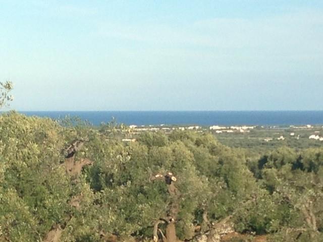 Prestigiosa ed imponente masseria con torre