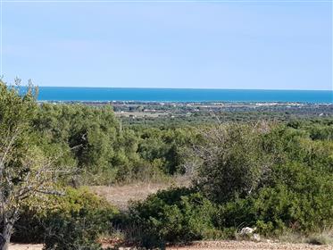 Beautiful land overlooking the sea with the possibility of building a villa