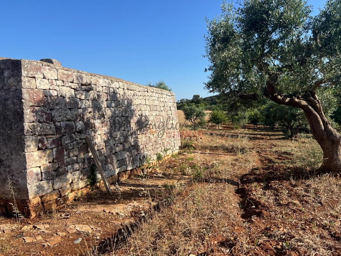 Beautiful stone farmhouse for sale