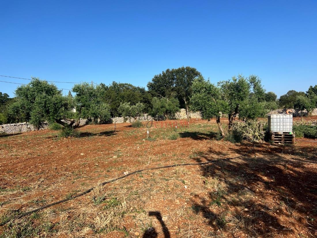 Beautiful stone farmhouse for sale