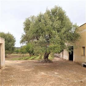 Interesting complex of trulli and lamie for sale