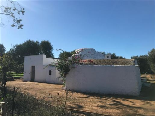 Beautiful complex of trulli and lamie for sale