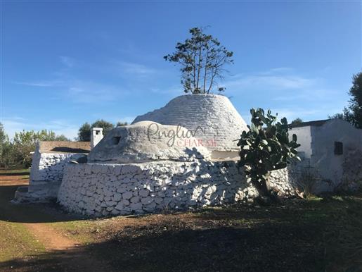 Beautiful complex of trulli and lamie for sale