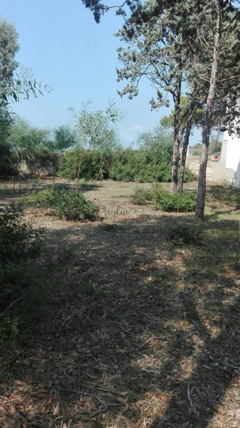 For sale property to be completed by the sea