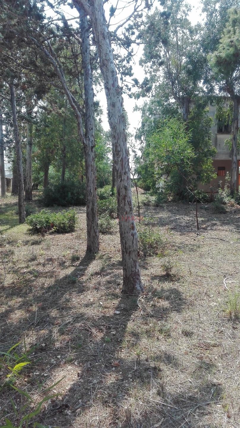 For sale property to be completed by the sea