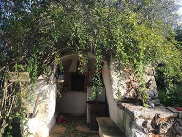 Beautiful trullo renovated in an original and natural way for sale