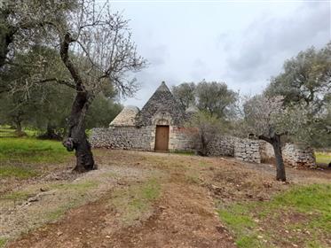 For sale in the countryside of Ostuni, beautiful trullo in its original state