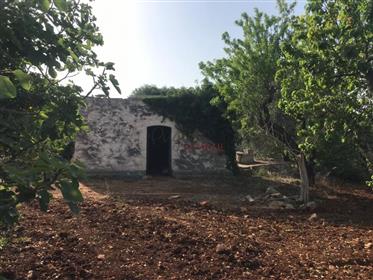 For sale in the countryside of Ostuni lamia