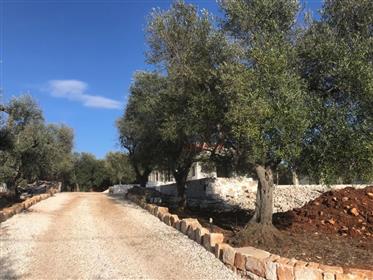 Beautiful new villa with swimming pool for sale in the countryside of Ostuni