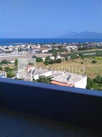 Property for sale(Chalcis)