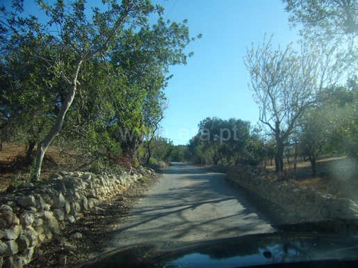 Mixed Land with 8320m2 of land, Tunes