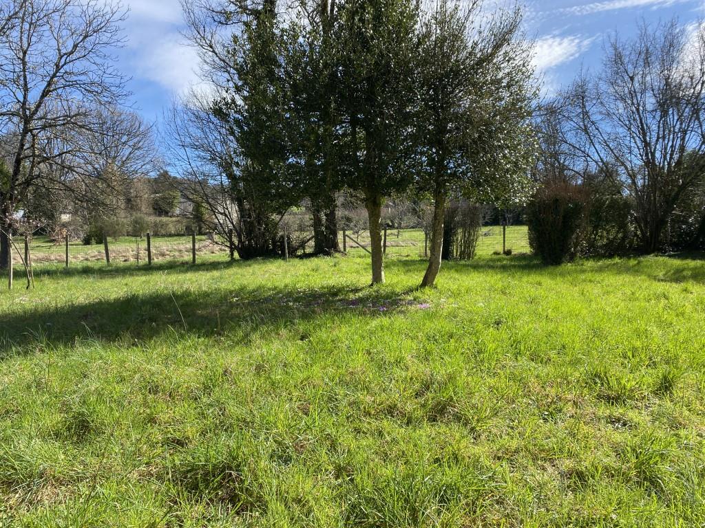 Jolie maison en pierre à fort potentiel avec jardin paysagé