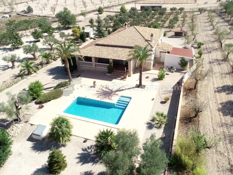Amazing villa with oliver tree in costa blanca