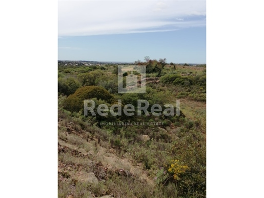 Terrain avec 16 000 près de Quinta da Umbria