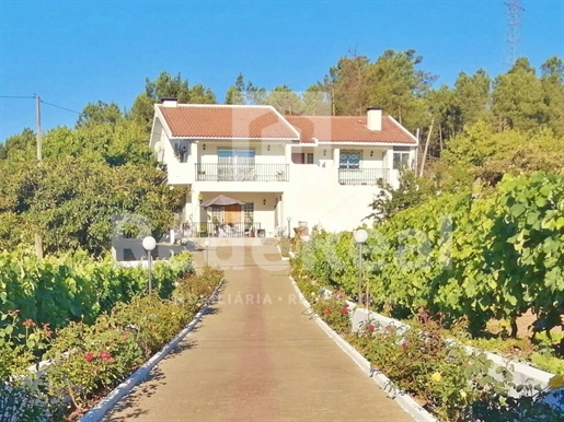 Farm located in the heart of the Douro with swimming pool and wine production.