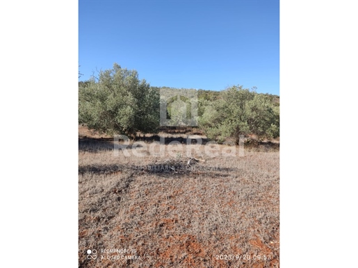 Rustic land with an area of 12,400 m2 located in Nave dos Cordeiros