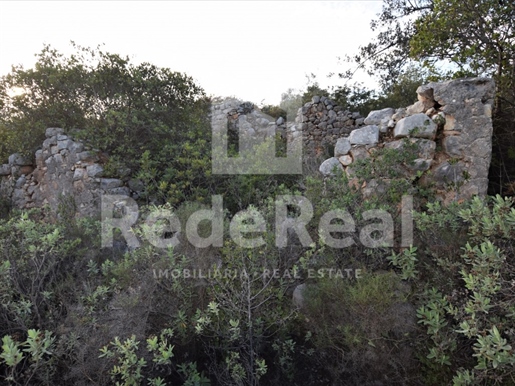 Ruina con tierra de 1,1 hectáreas