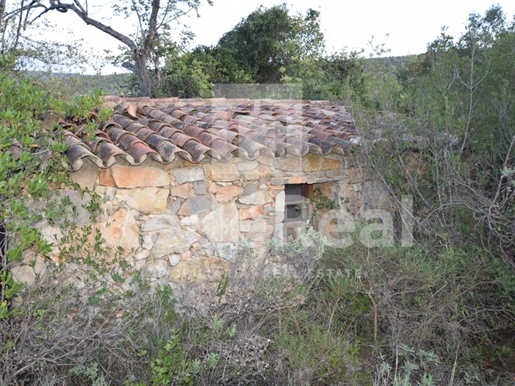 Ruin With Land Of 1,1 Hectares - Loulé