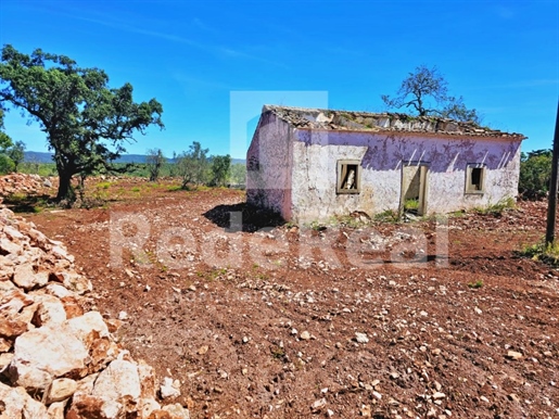 Flat land with Ruin in quiet area