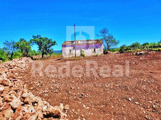 Flat land with Ruin in quiet area