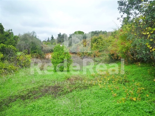 Land With Ruin Located In Loule Algarve
