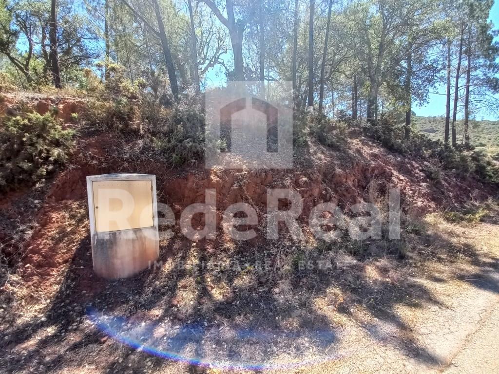 Cumpărare: Teren (8100)