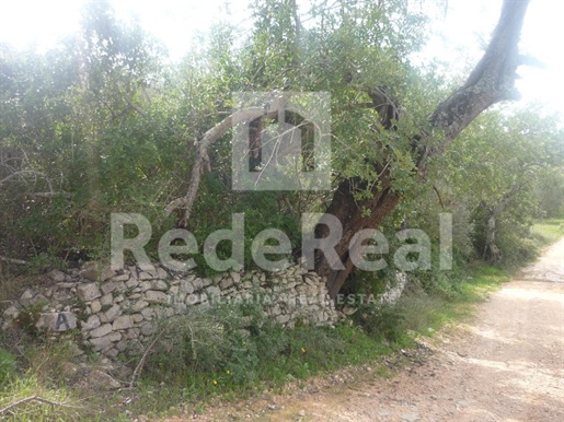 Rustic Land For Sale, Loulé, Algarve