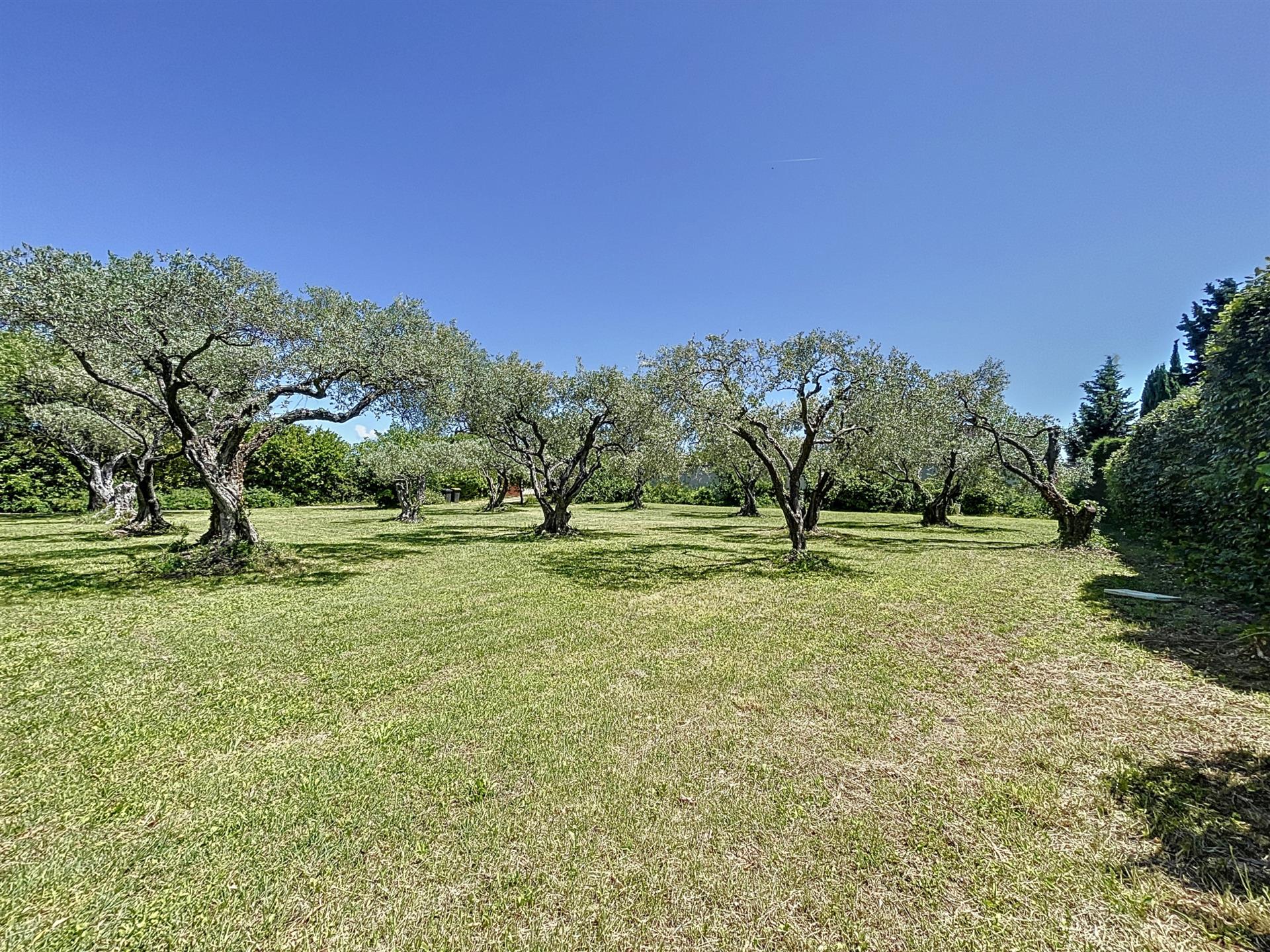 En exclusivité , un beau terrain constructible viabilisé
