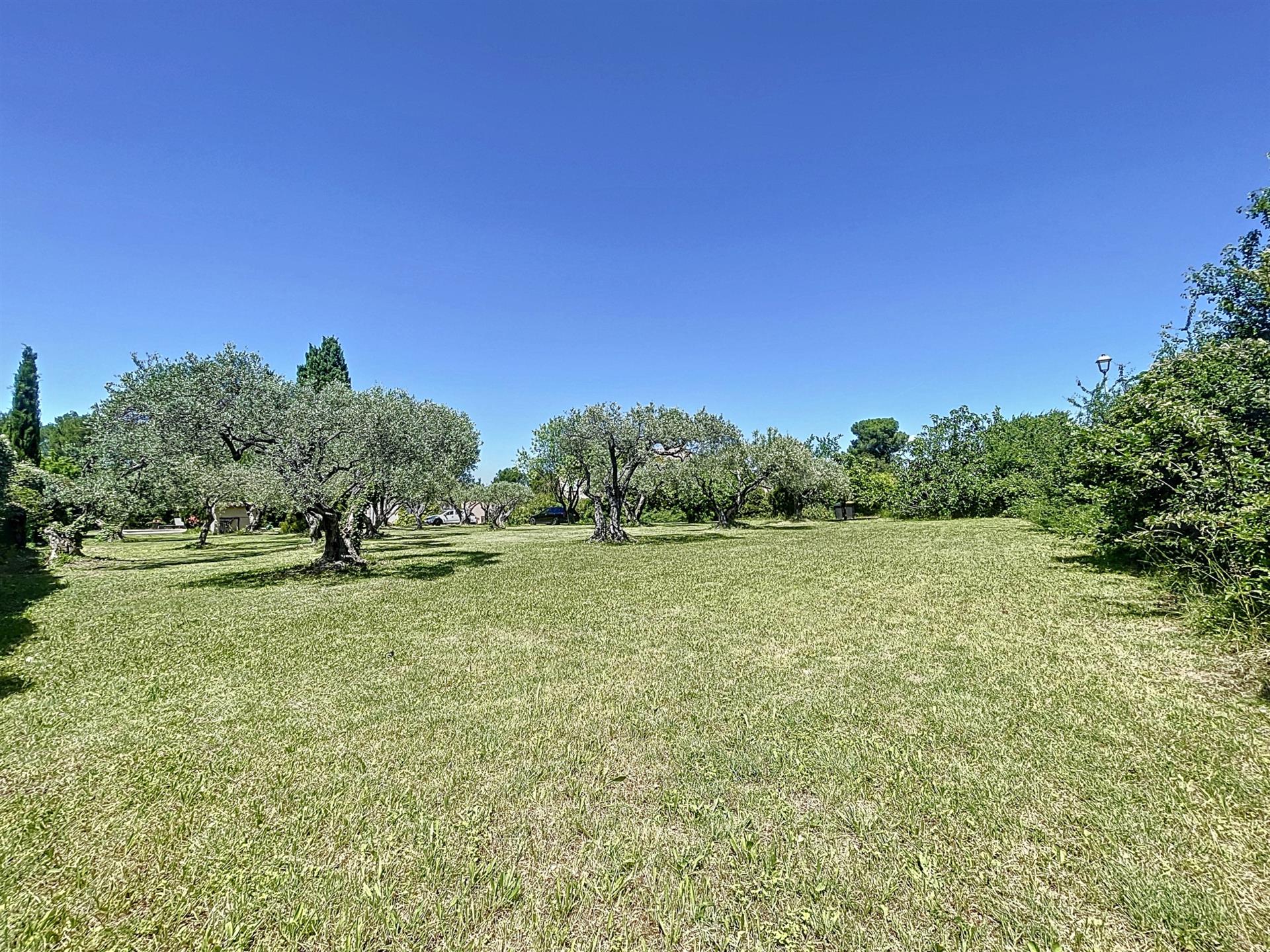 En exclusivité , un beau terrain constructible viabilisé