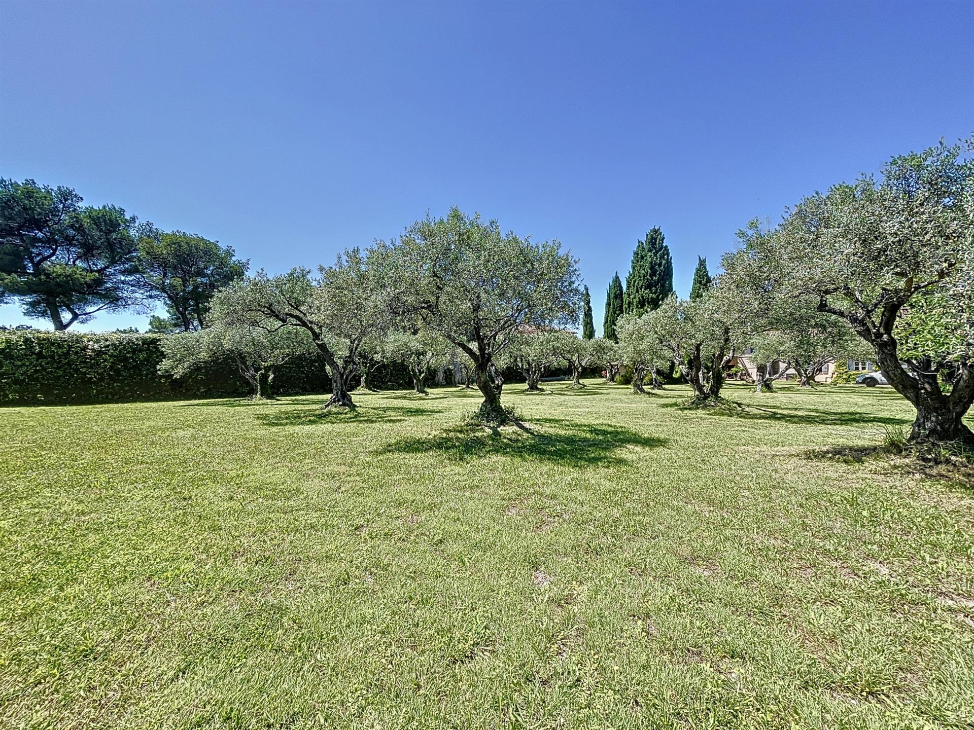En exclusivité , un beau terrain constructible viabilisé