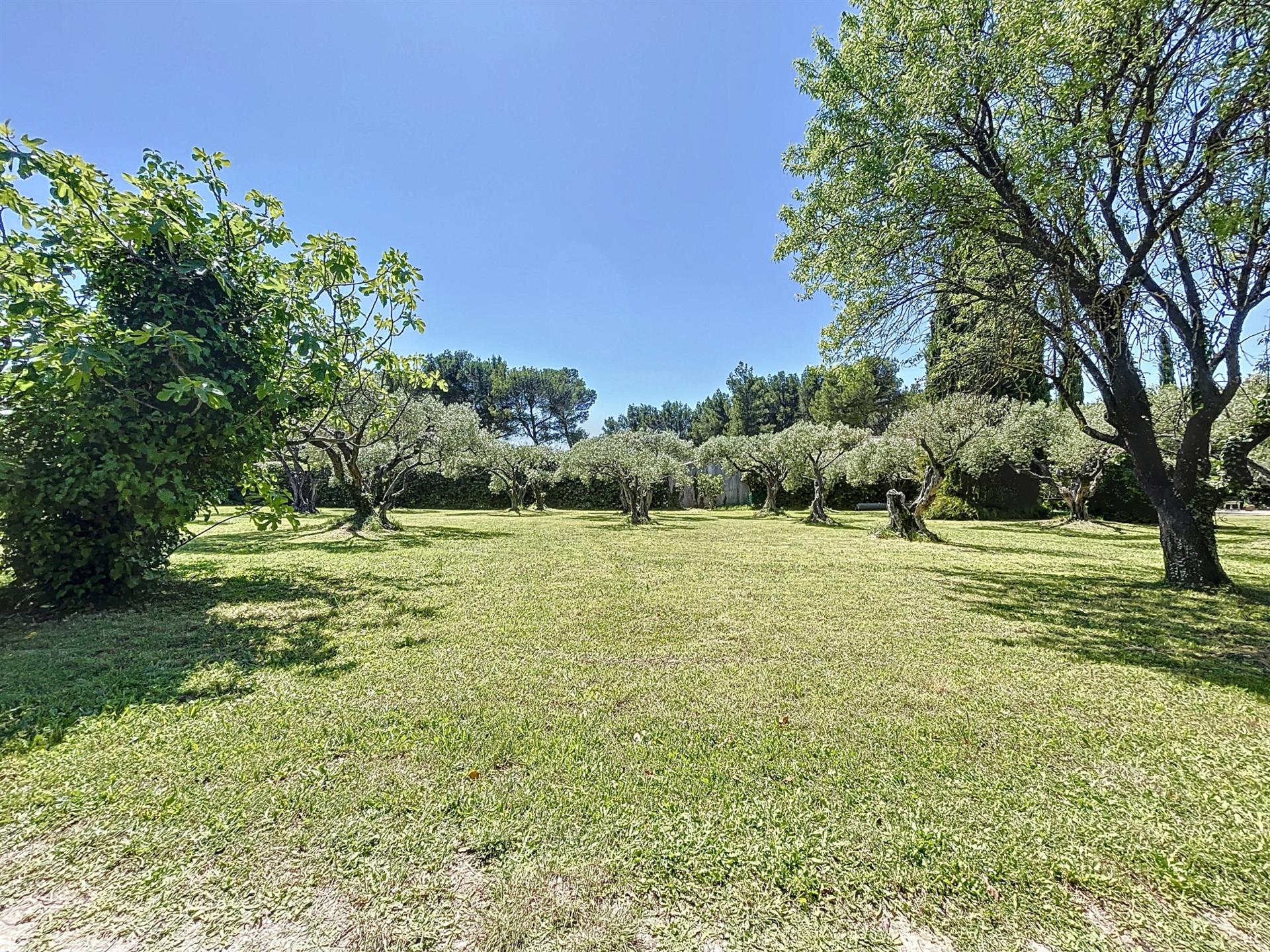 En exclusivité , un beau terrain constructible viabilisé