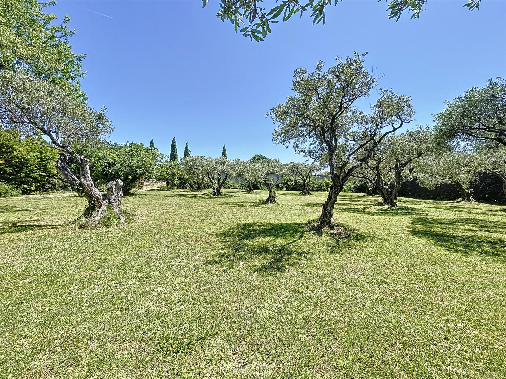 En exclusivité , un beau terrain constructible viabilisé