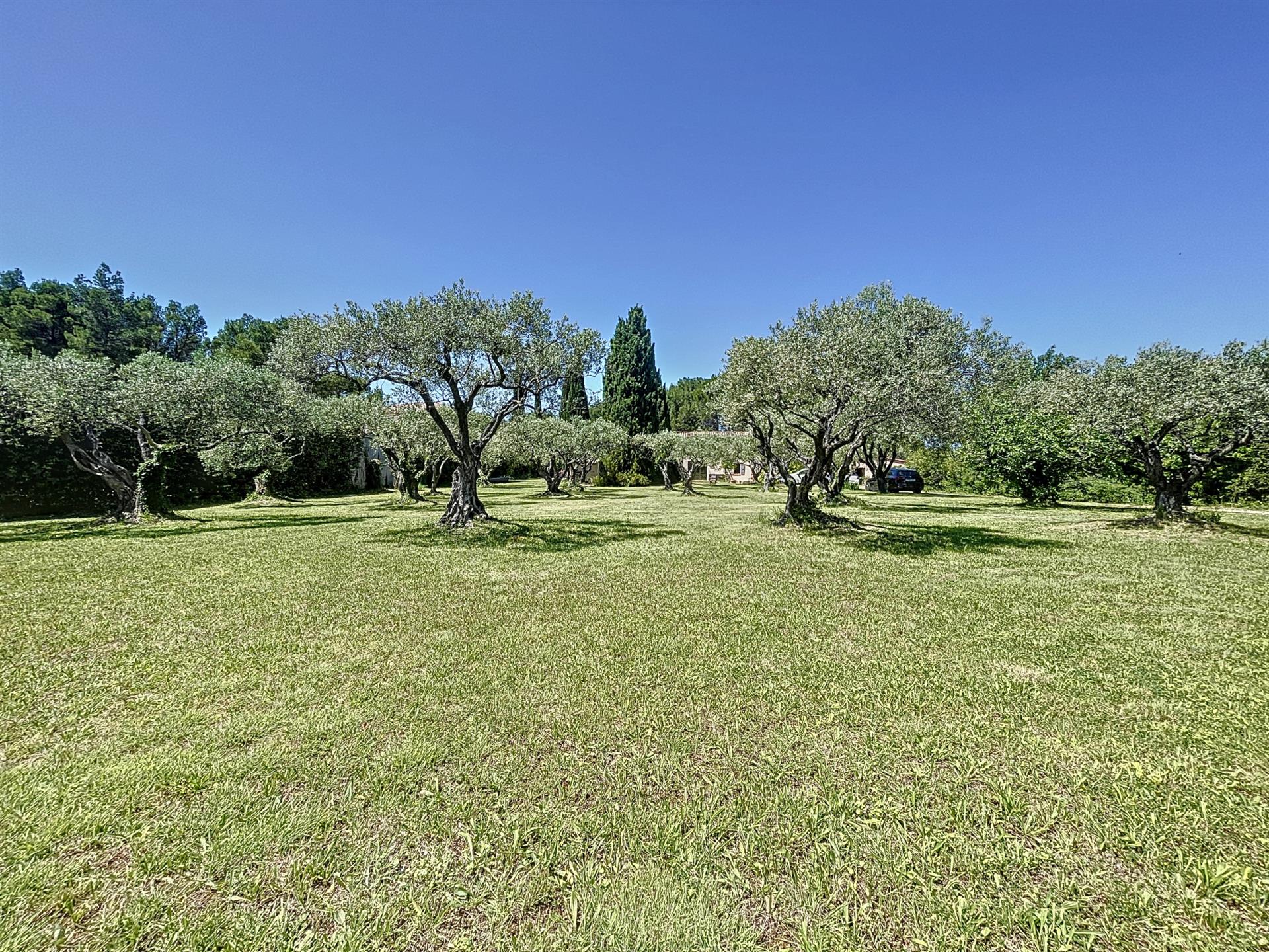 En exclusivité , un beau terrain constructible viabilisé