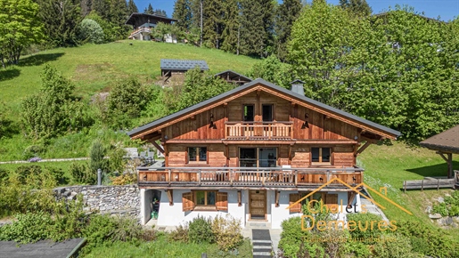 Magnificent chalet Ski In, Ski Out