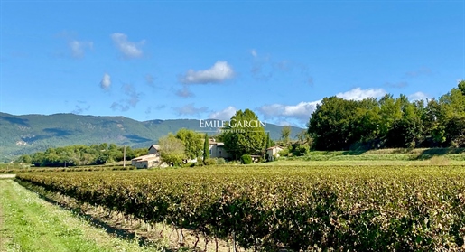 Domaine viticole à vendre dans le Sud Luberon à 30 mn d'Aix-en-Provence