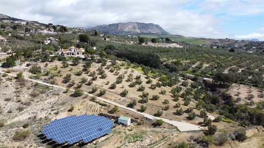 Αγορά : Εξοχική κατοικία (29200)