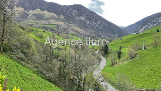 Aspe Valley - For sale two barns with agricultural land -